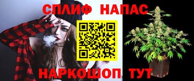 МДПВ Среднеуральск