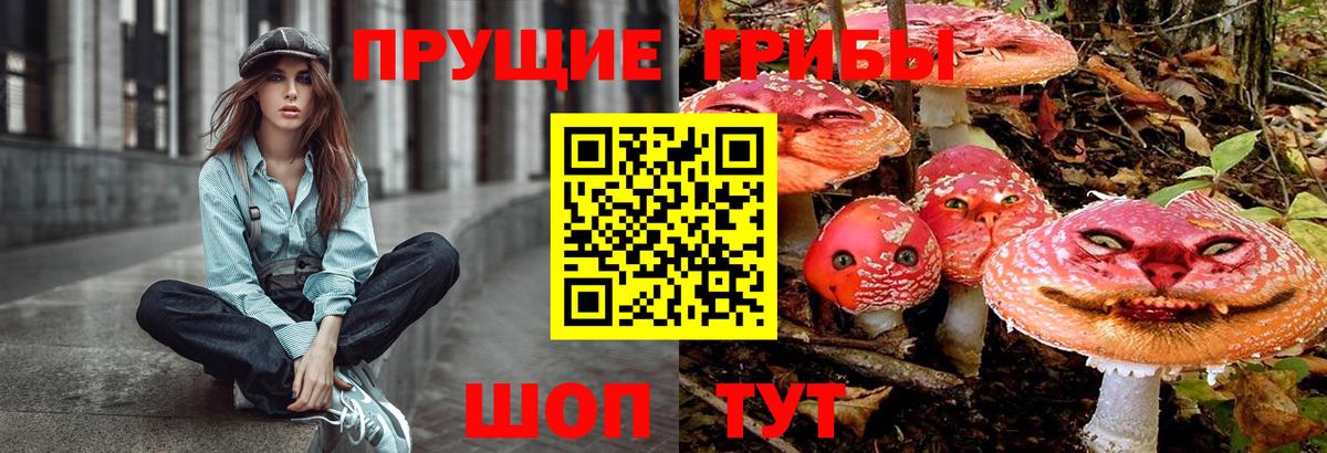 Псилоцибиновые грибы Magic Shrooms Мариинск