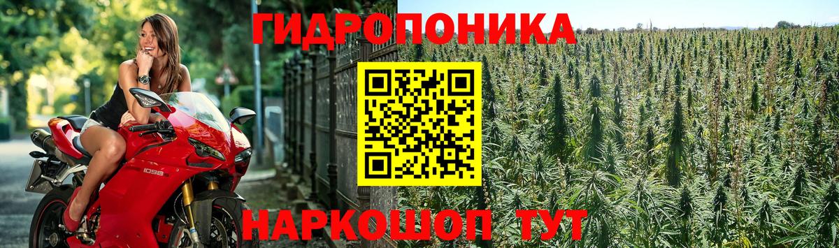 Марихуана марихуана Мариинск